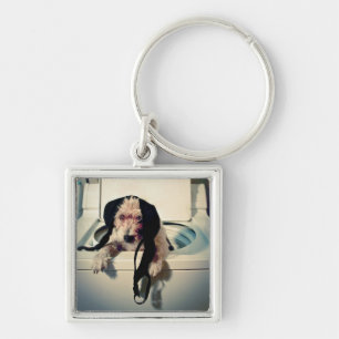 Chaveiro Cão que ajuda para fora com a lavagem