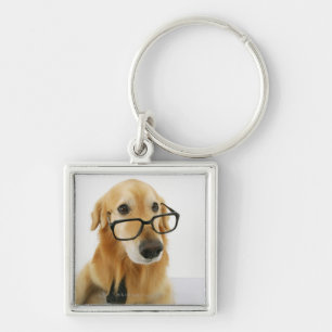 Chaveiro Cão que vestem o laço e vidros que sentam-se na