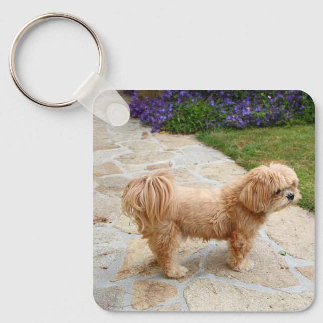 Chaveiro Cão Red Lhasa Apso (Frente)