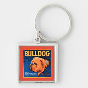 Chaveiro Cão-Touro num Fundo Azul