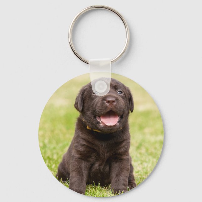 Chaveiro Cãozinho bonito (Frente)