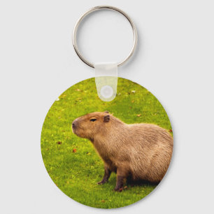 Chaveiro Capivara