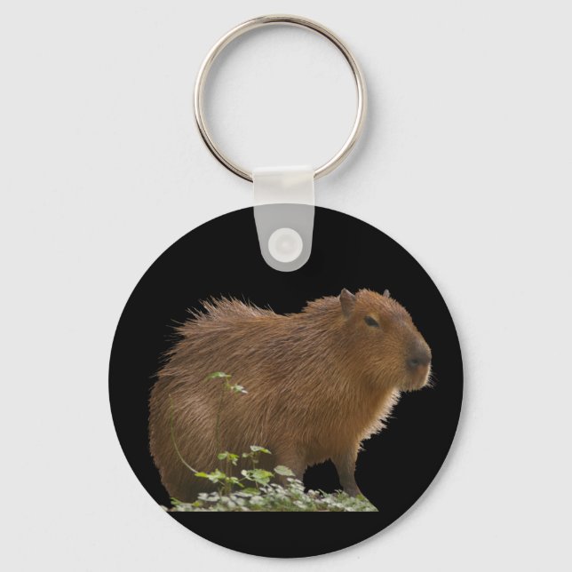 Chaveiro Capybara (Frente)