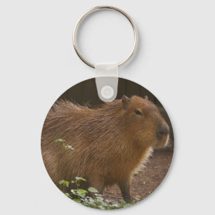 Chaveiro Capybara