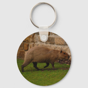 Chaveiro capybara