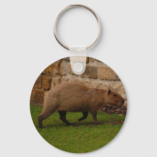 Chaveiro capybara (Frente)