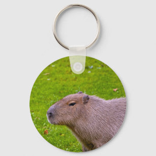 Capivara Aniversário Acrílico Chaveiro, Chaveiro Animal dos