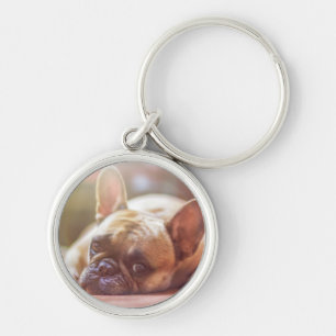 Chaveiro Cara bonito do buldogue francês, encontrando-se