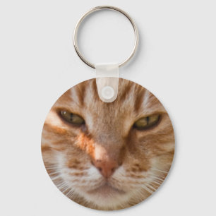 Chaveiro Cara de gato