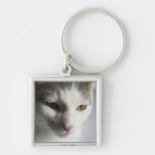 Chaveiro Cara de um gato