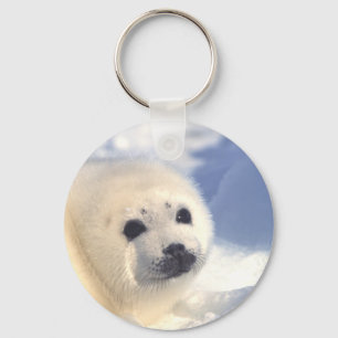 Chaveiro Cara do filhote de cachorro de selo