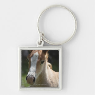 Chaveiro cara do potro
