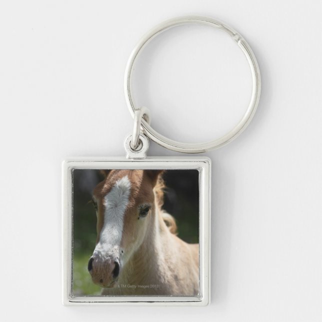 Chaveiro cara do potro (Frente)