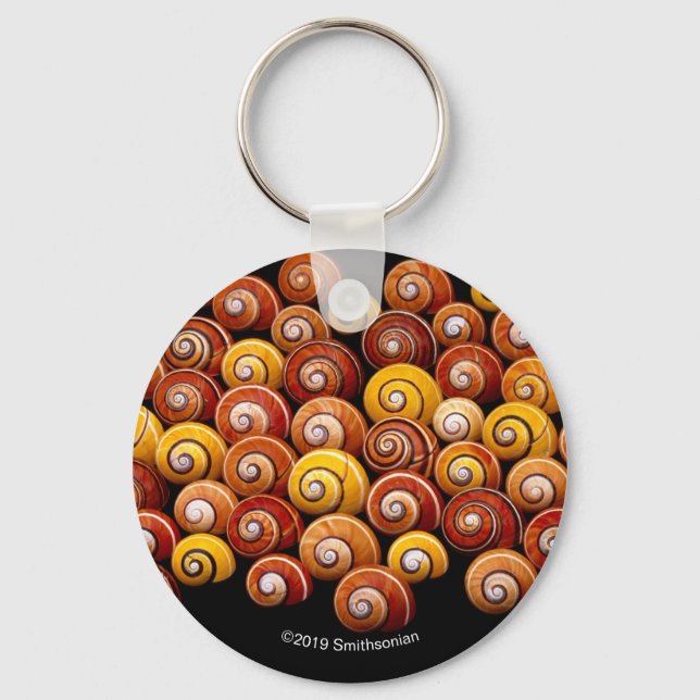 Chaveiro Caracóis de Árvore Cubana (Frente)