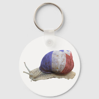 Chaveiro Caracol-de-bandeira francês