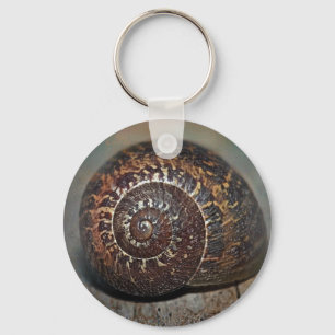 Chaveiro Caracol Shell