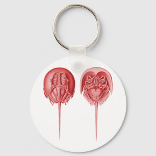 Chaveiro Caranguejo em ferradura