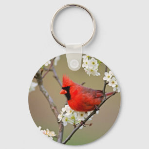Chaveiro Cardeal vermelho