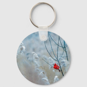 Chaveiro Cardeal Vermelho no Natal Foto Natal