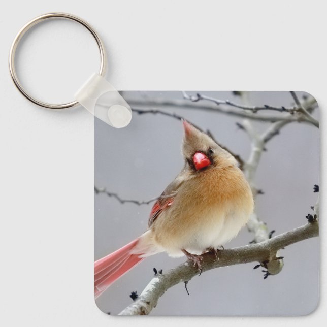 Chaveiro Cardinal_keychain (Frente)