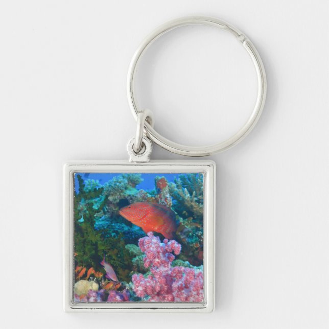 Chaveiro cardume de donzelas (Pseudanthias (Frente)