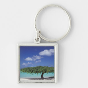 Chaveiro Caribe, Aruba. Praia Eagle