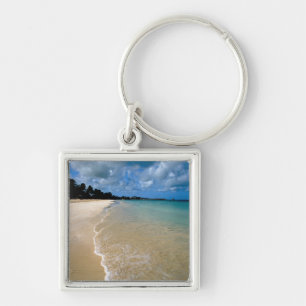 Chaveiro Caribe, Ilhas de Sotavento, Antígua, Dickenson