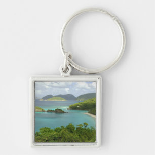 Chaveiro Caribe, Ilhas Virgens dos EUA, St. John, Tronco 2
