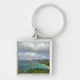 Chaveiro Caribe, Ilhas Virgens dos EUA, St. John, Tronco 3