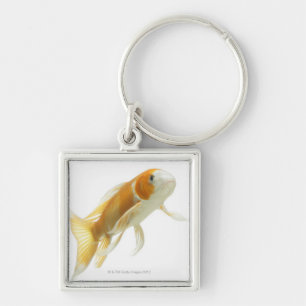 Chaveiro Carpa (Cyprinus carpio)