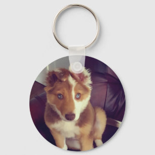 Chaveiro Carregar a sua fotografia personalizada de estimaç