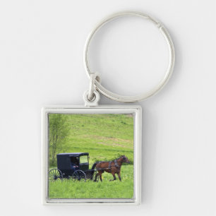 Chaveiro Carroça e cavalo Amish perto de Berlim, Ohio.