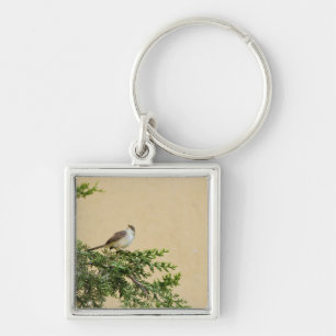 Chaveiro Cartão-postal Sparrow