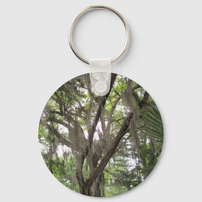 Chaveiro carvalho com musgo espanhol acenando nos ramos (Frente)