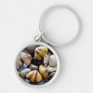 Chaveiro Cascas de Clam Pequenas Coloridas