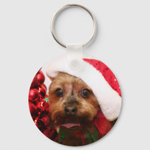 Chaveiro Cassie - yorkshire terrier - Scharr