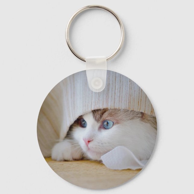 Chaveiro Cat, Nature, Kitten (Frente)