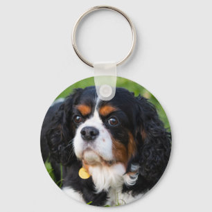 Chaveiro Cavaleiro Tricolor Rei Charles Spaniel