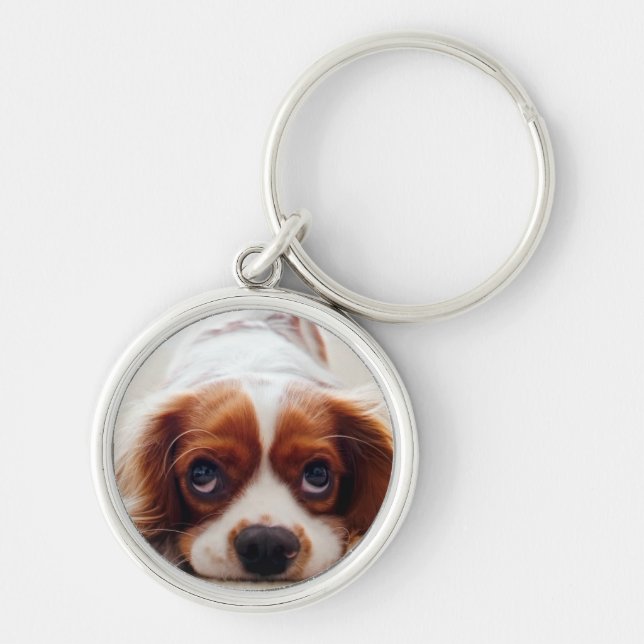 Chaveiro Cavalier King Charles Spaniel (Frente)
