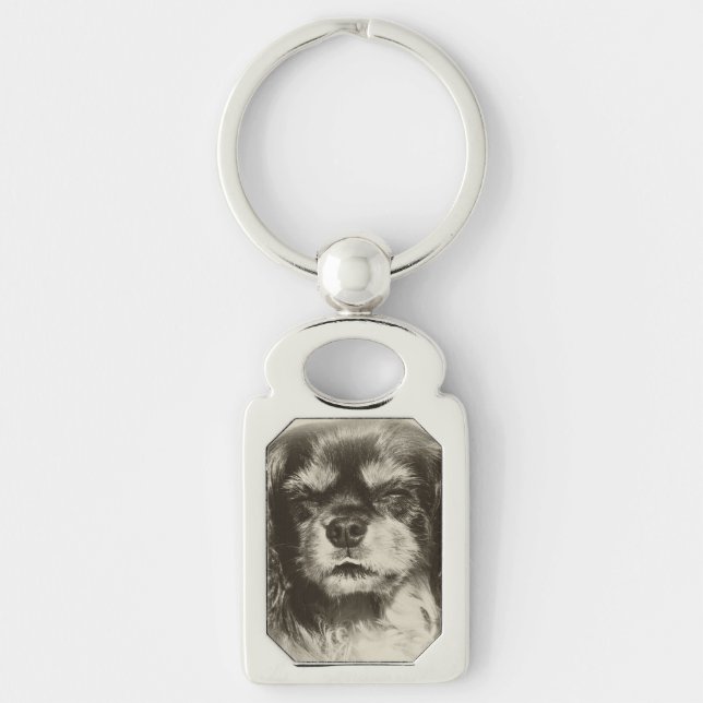 Chaveiro Cavalier King Charles Spaniel (Frente)
