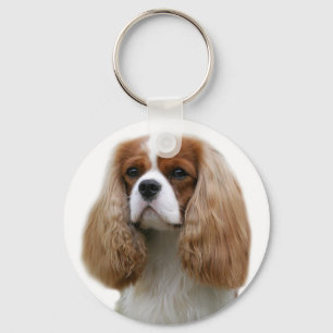 Chaveiro Cavalier King Charles Spaniel