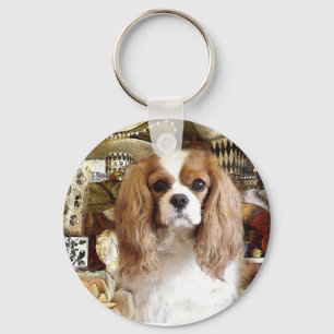 Chaveiro Cavalier King Charles Spaniel