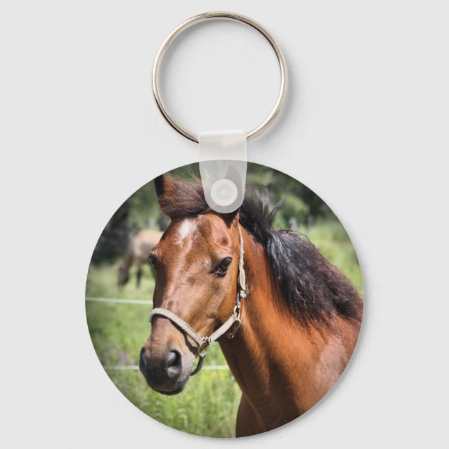 Chaveiro Cavalo 8674 (Frente)