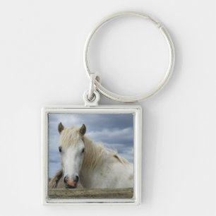 Chaveiro Cavalo branco   France