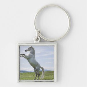 Chaveiro cavalo branco que salta no prado