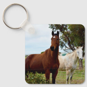 Chaveiro Cavalo Castanho E égua Branca,