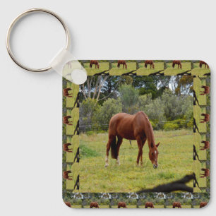 Chaveiro Cavalo Castanho Espancando Em Paddock, Em Horso,