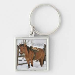 Chaveiro Cavalo chileno equipado com chileno tradicional