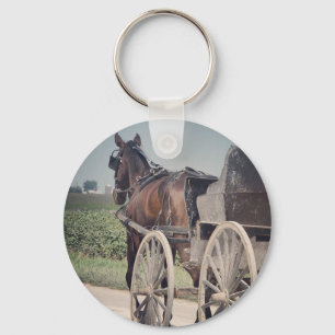 Chaveiro Cavalo de Amish que passa o fotógrafo