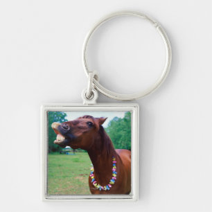 Chaveiro Cavalo de Brown que veste a colar, descobrindo os